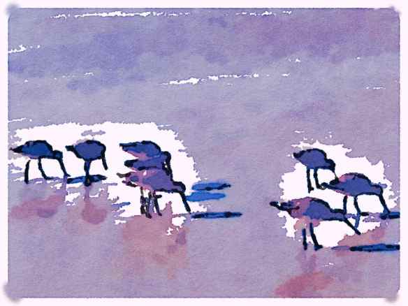 Waterlogue - Blotted