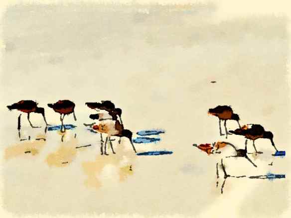 Waterlogue - Fashionable