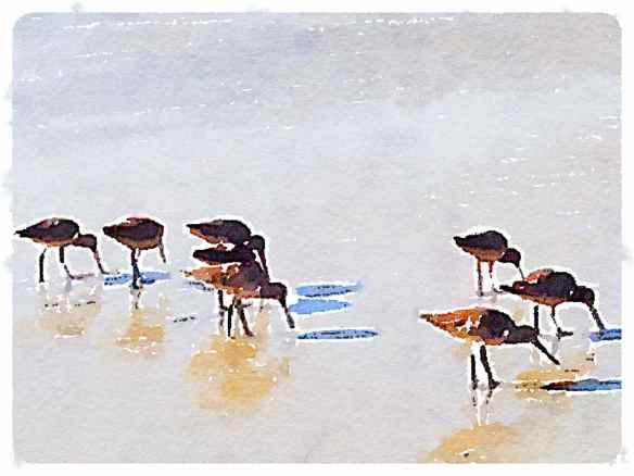 Waterlogue - Illustration