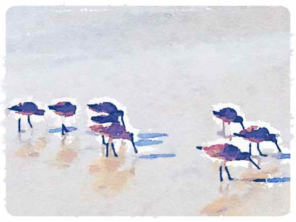 Waterlogue - Luminous