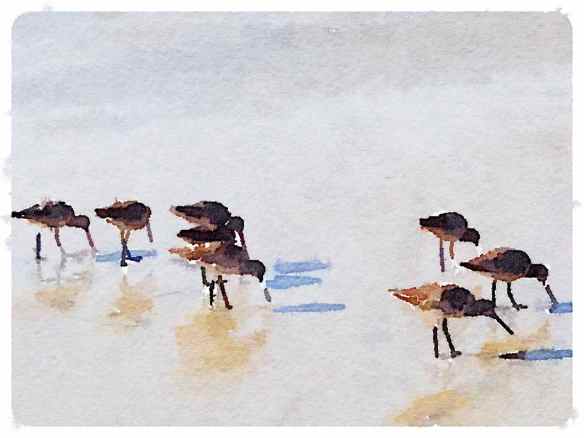 Waterlogue - Natural