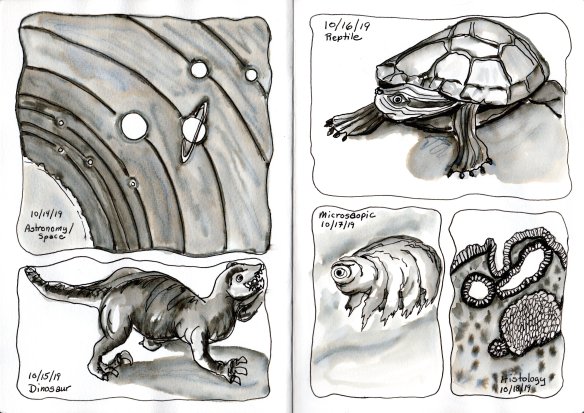 img20191020_20082742