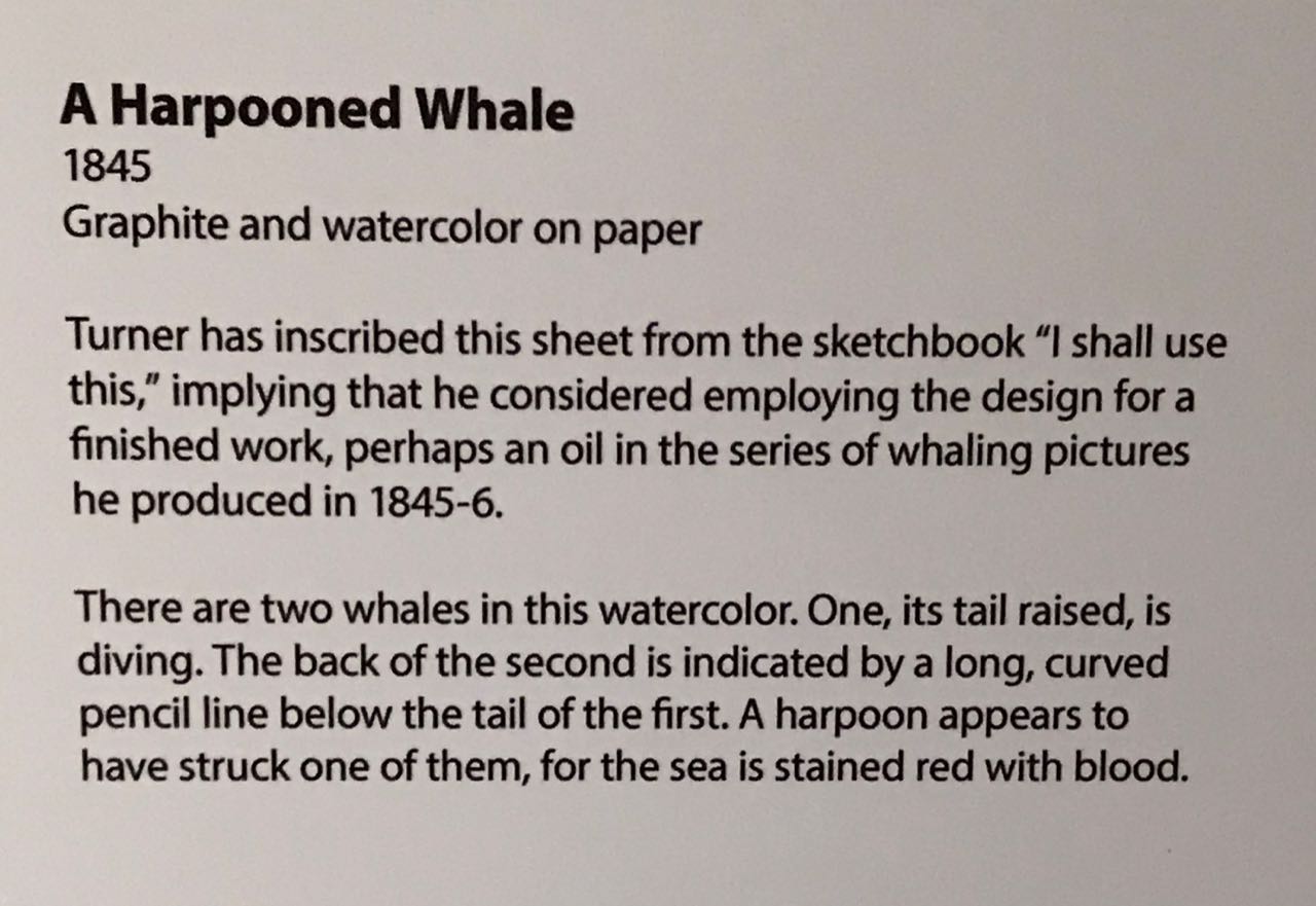 Turner27b_Blurb:AHarpoonedWhale1845