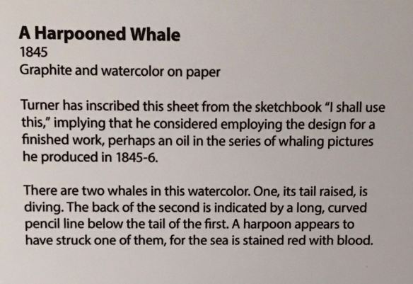 Turner27b_Blurb:AHarpoonedWhale1845