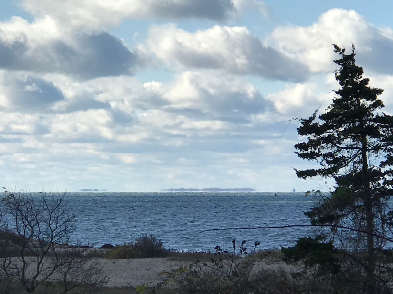 Turner35_BluffPointCoastalReserve01