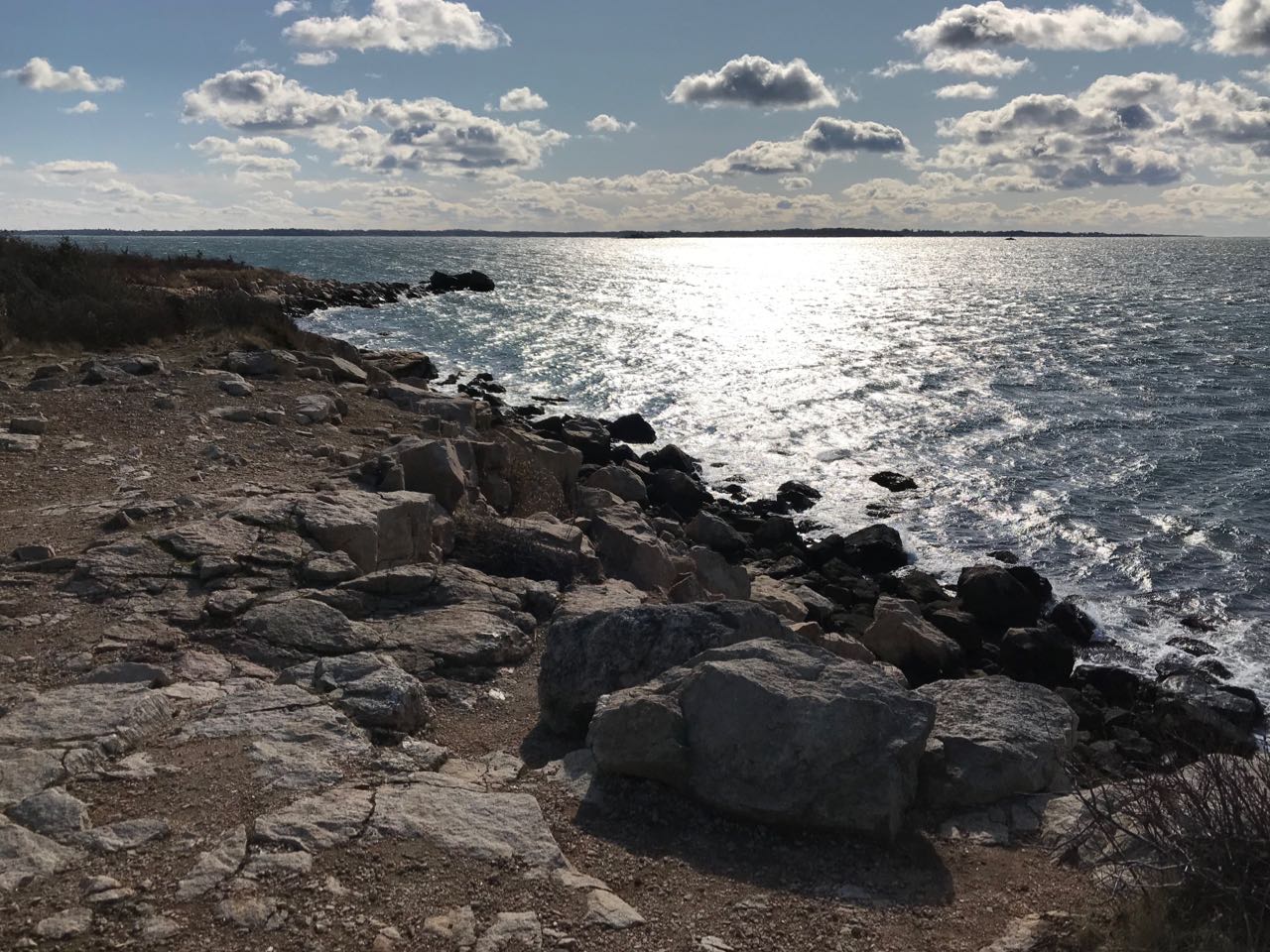 Turner36_BluffPointCoastalReserve02