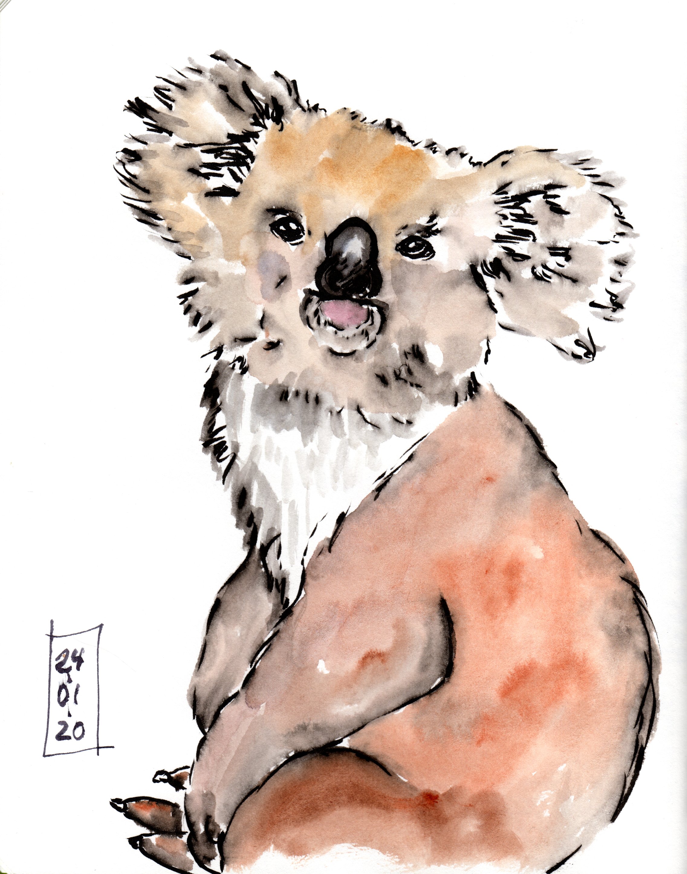 img20200212_21251714